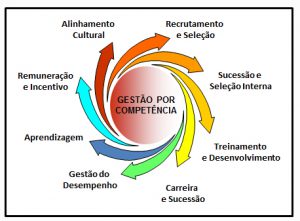 Mapeamento-de-Competencias-constelacao-coaching