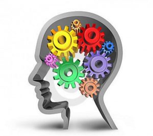 Neurocoaching-500x444